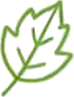 Decorative Leaf