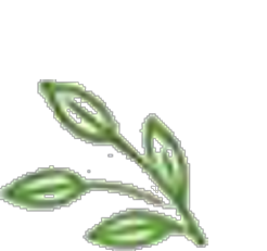 Decorative Sprout