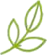 Decorative Sprout